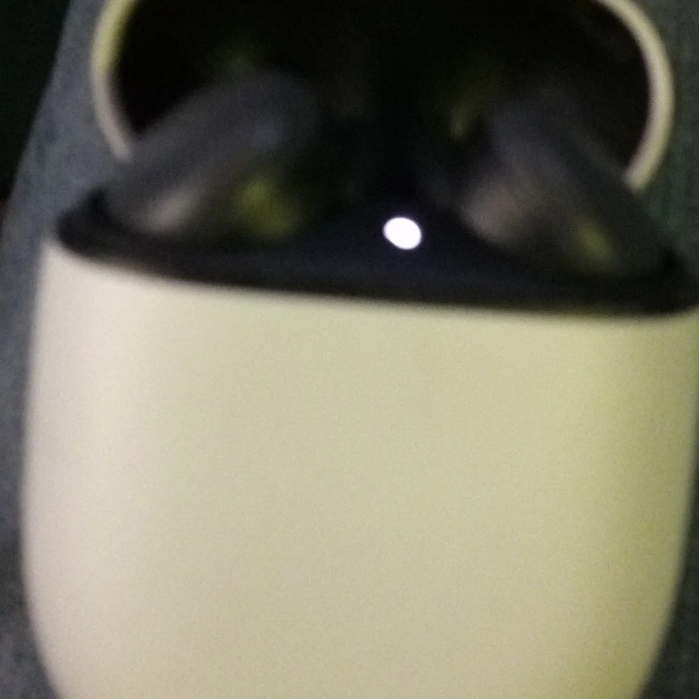 Google Pixel Wireless Earbuds